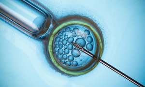 长沙试管婴儿胚胎移植技术分析